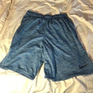 Nike Team Trainer Shorts